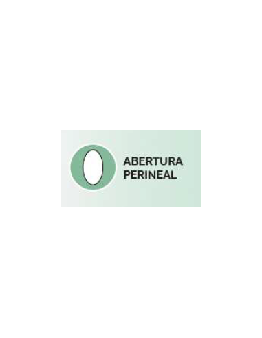 Trusa Moldeadora Sin Costuras Mediana Compresión Fajitex.