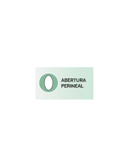 Trusa Moldeadora Sin Costuras Mediana Compresión Fajitex.